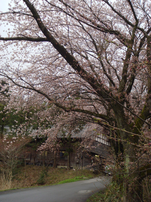 080413_2.jpg