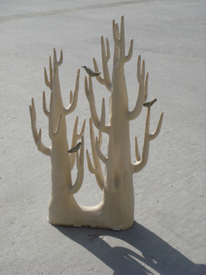 080606_2.jpg